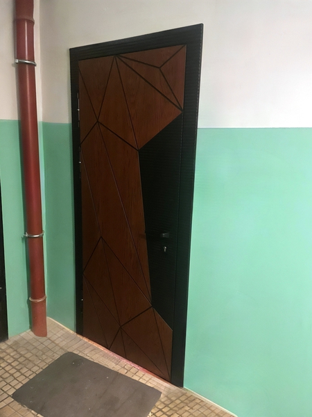 Квартирная дверь с двухцветной панелью